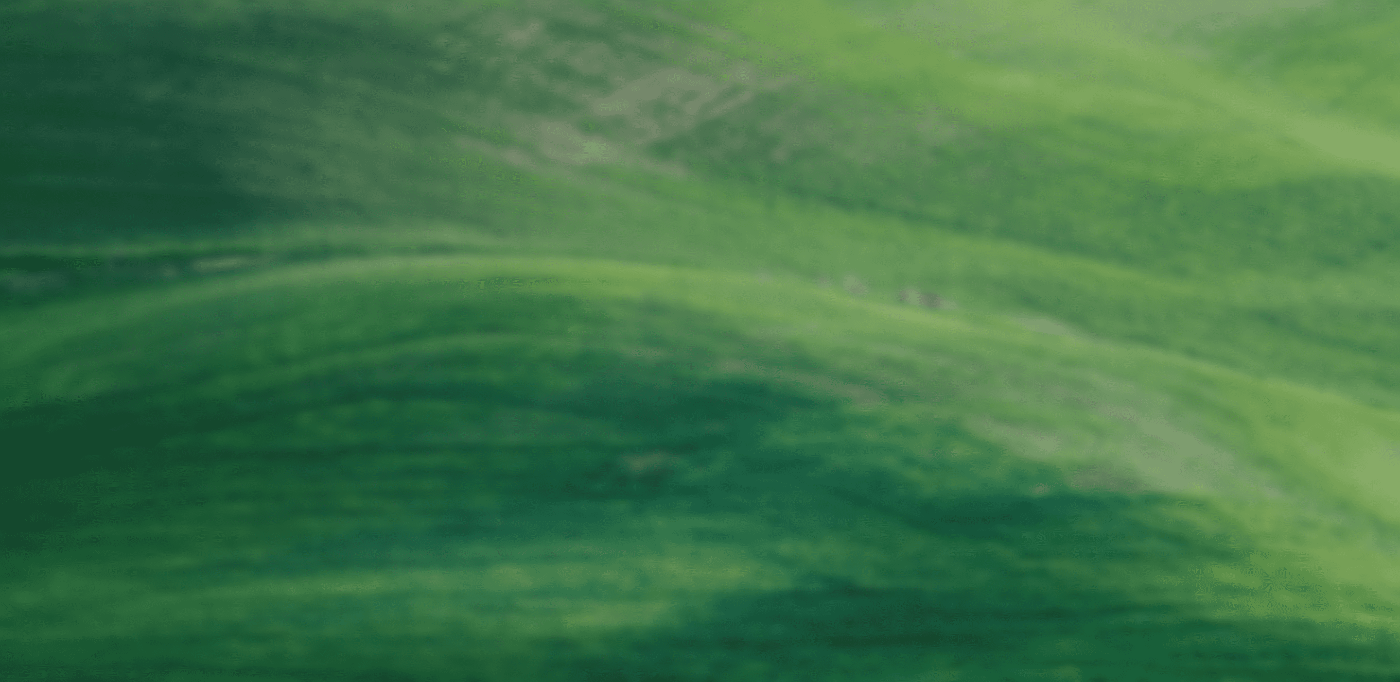 titleSectionBackgroundImage